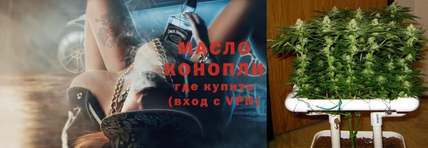 гидра Елабуга