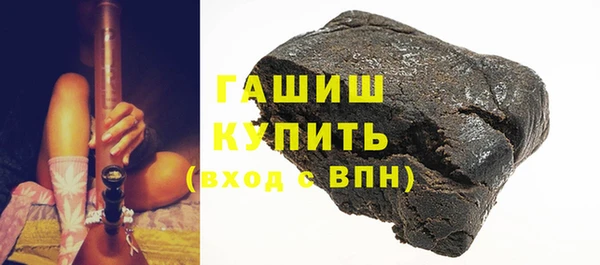 сатива Ельня