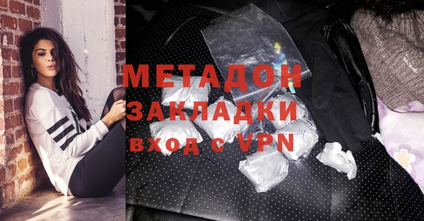 сатива Ельня