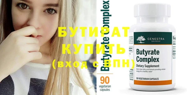 сатива Ельня