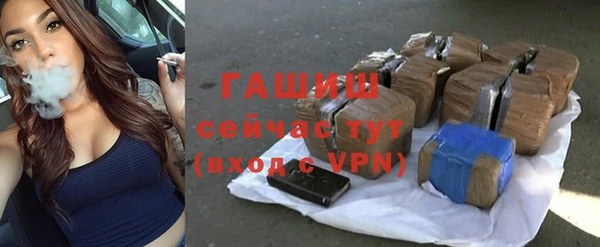 сатива Ельня