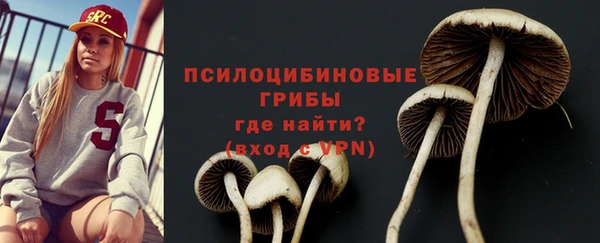 сатива Ельня