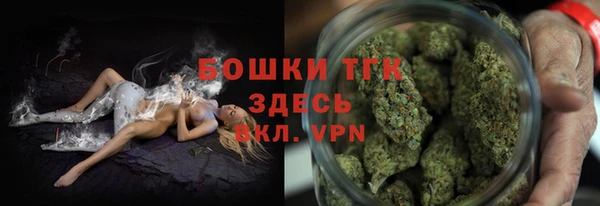 гидра Елабуга