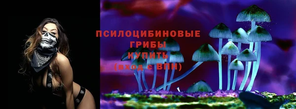синтетический гашиш Елизово