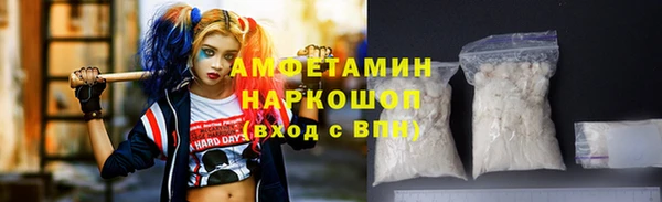 сатива Ельня