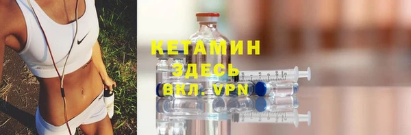 гидра Елабуга