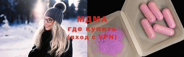 сатива Ельня
