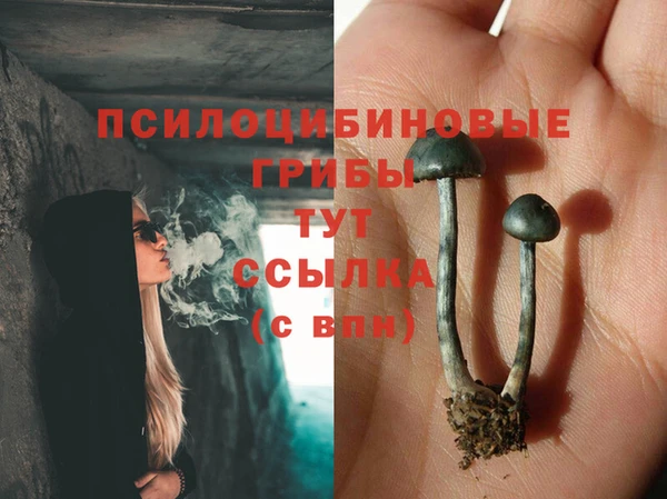мяу мяу мука Грязи