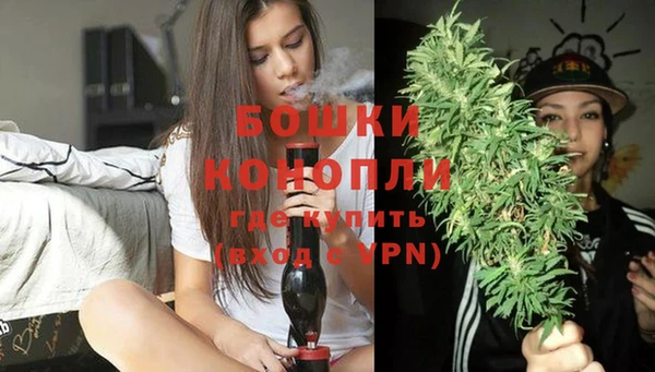 сатива Ельня