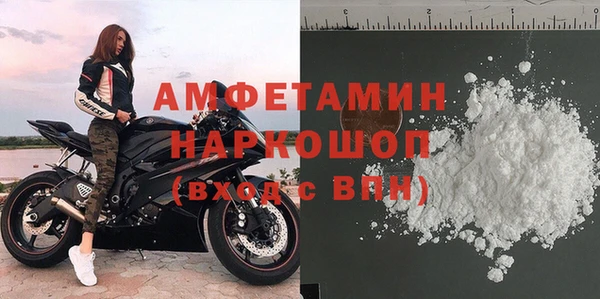 spice Дмитриев