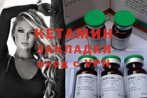 гидра Елабуга