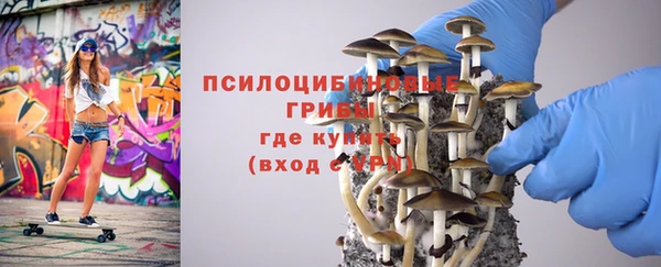 гидра Елабуга