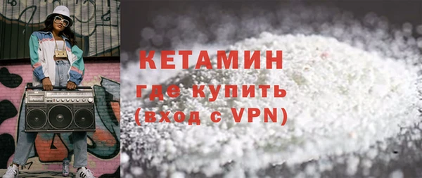 сатива Ельня