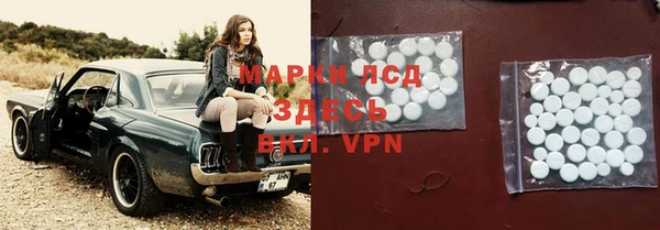сатива Ельня