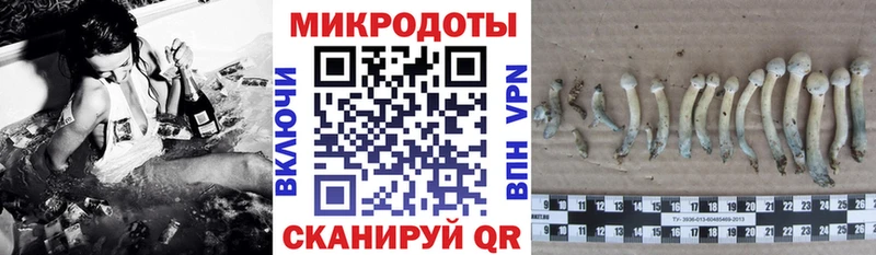 Галлюциногенные грибы ЛСД  Каргат 