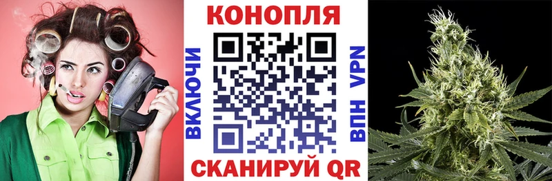 где найти   Каргат  Шишки марихуана гибрид 